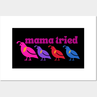 Mama tried (3 chicks) Posters and Art